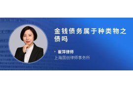 荥经如何避免债务纠纷？专业追讨公司教您应对之策